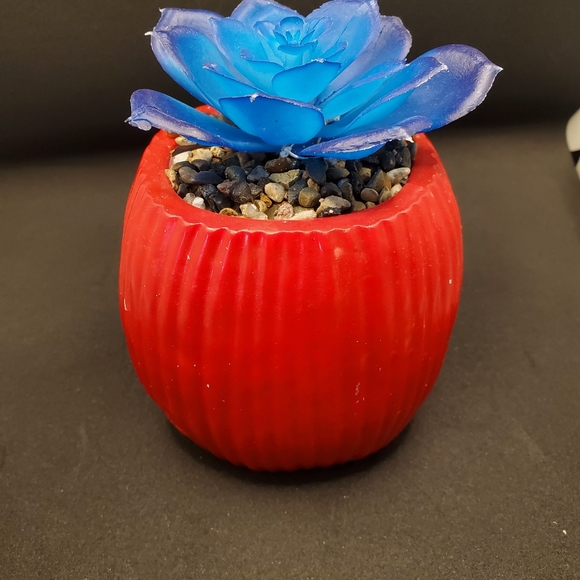 Nightmare before Christmas succulent decor - Picture 4 of 7